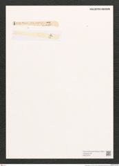 Homoeocladia sp. (de-Toni-Nr.: Genus 48) Zeichnungen Sammlung Grunow (NHMW-BOT-W0372579)